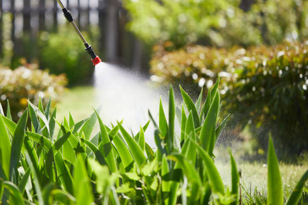 Tamper-Resistant Bait Stations for Rodents in Verona