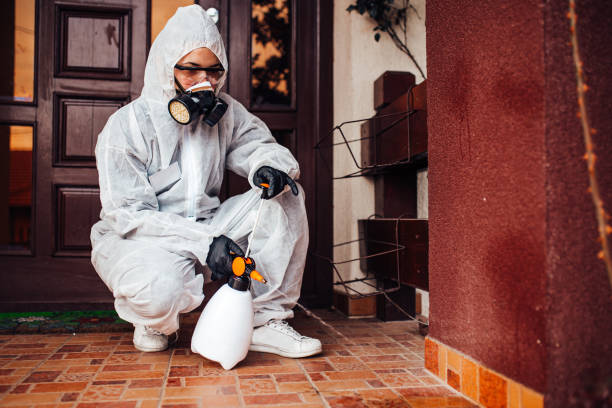 Attic and Crawl Space Rodent Treatment in Verona