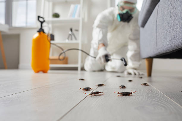 Commercial Rodent Management in Verona